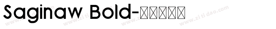 Saginaw Bold字体转换